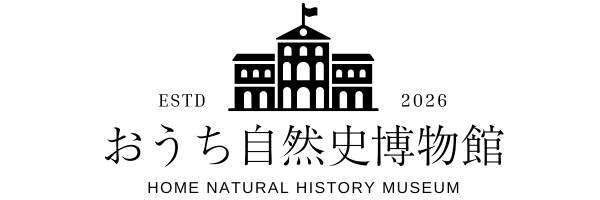 おうち自然史博物館